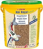 Sera Koi Royal Medium (4 mm) un alimento koi o alimento Principal para el Desarrollo óptimo de Koi de 12 – 25 cm con prebióticos para un Mejor aprovechamiento de la alimentación