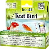 Tetra Pond Test 6 in 1, 25 pruebas en tiras, 1 Unidad (Paquete de 1)