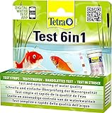 Tetra Pond Test 6 in 1, 25 pruebas en tiras, 1 Unidad (Paquete de 1)